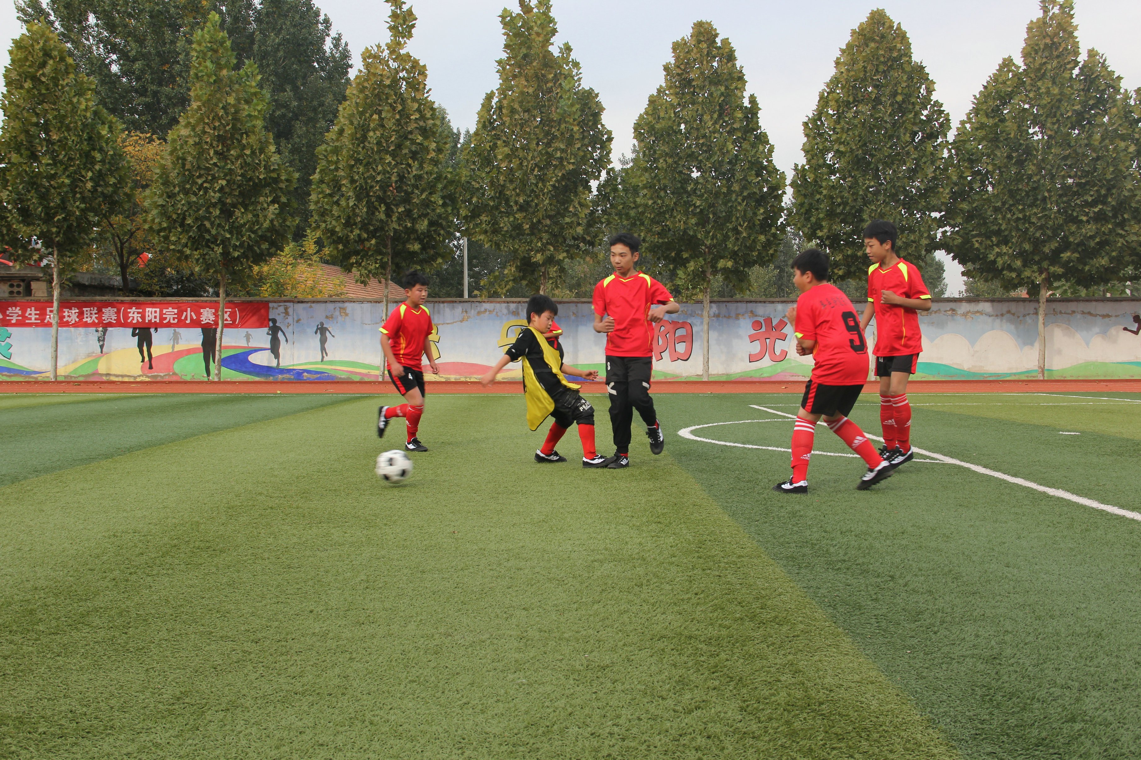 驰骋绿茵场足球争霸,驰骋绿茵场少年梦飞扬