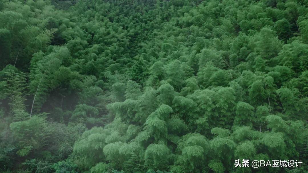 宋卫平迷你小合院,宋卫平时期的绿城