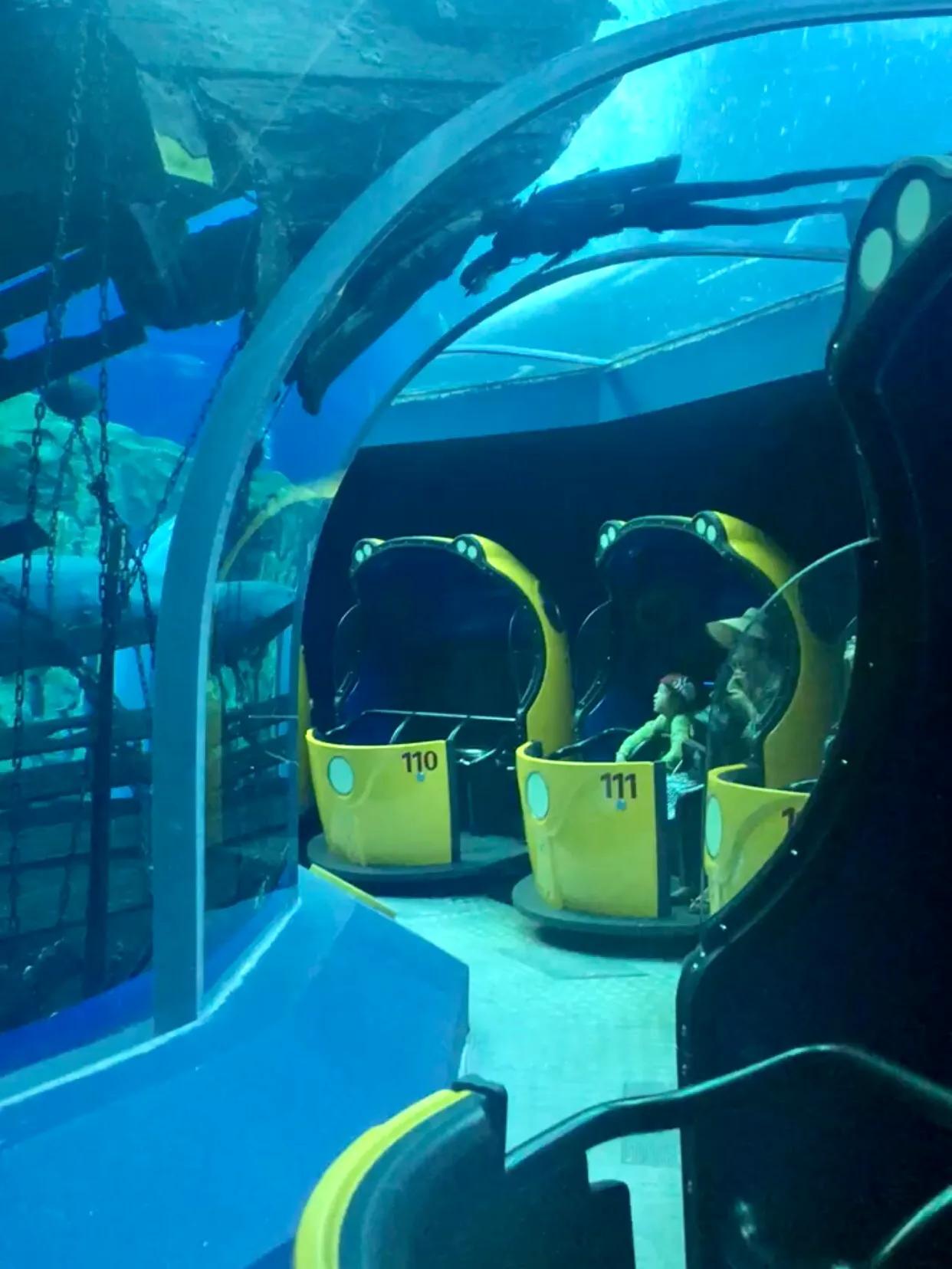 珠海长隆游玩攻略和时间,一月珠海长隆游玩攻略三天两晚