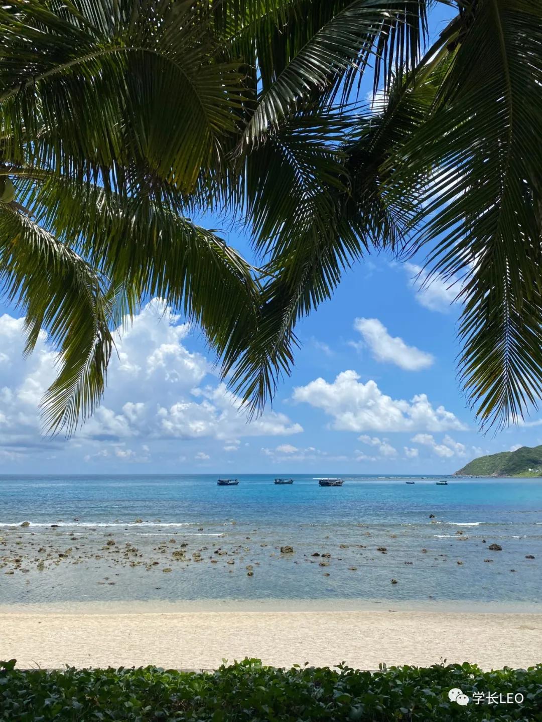 哈佛学长碎碎念：夏天就应该去海边，南方的海有多美？