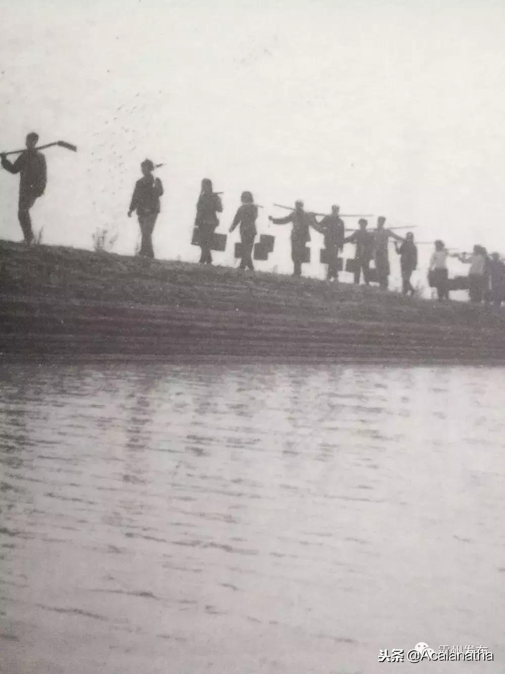 霸州土产公司老照片,霸州老城区图片