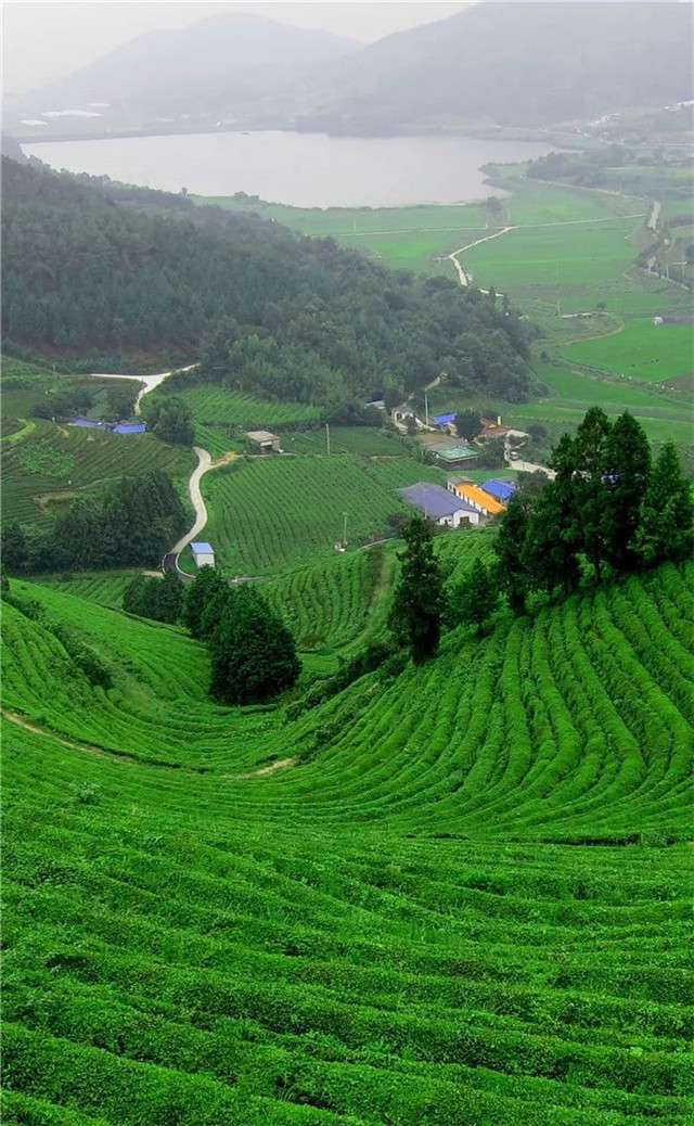 缓解眼睛疲劳壁纸颜色,缓解眼睛疲劳的壁纸高清