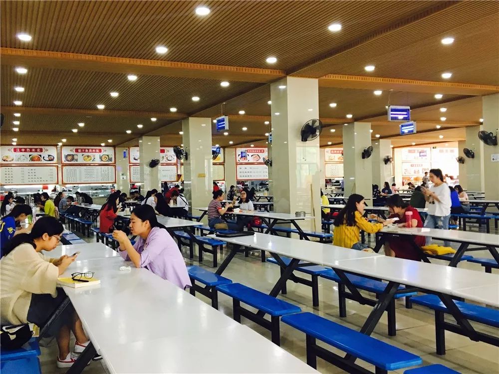 在培华，我4年胖了10斤！食堂是减肥路上最大的绊脚石