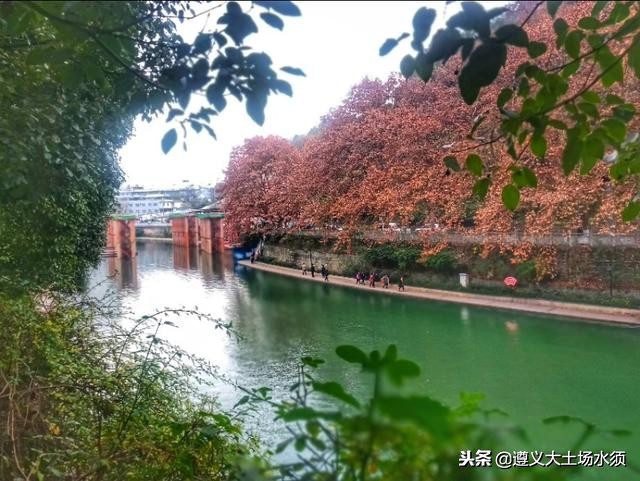 在冬天里看遵义湘江河上的秋色