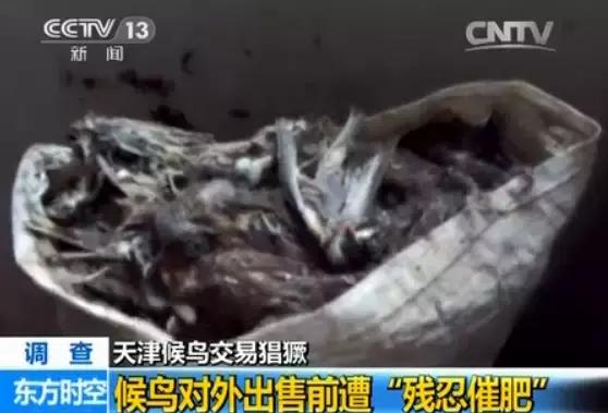 从禾花雀到云雀，又一种鸟快被中国人吃绝种了！