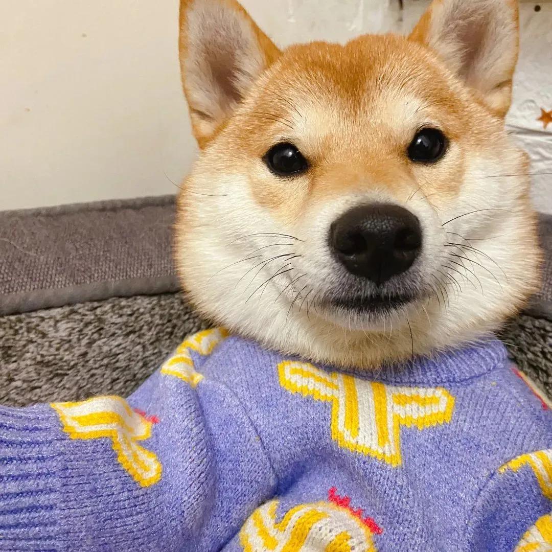 钢铁直男的头像,直男可以直到什么程度情侣头像