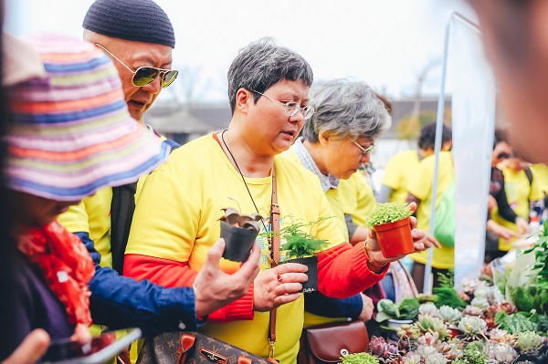 四月上海最全出行景点出炉！60余项踏青赏花游供选择