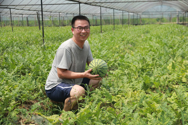 吴培先：重庆水果种植“一姐”的变与不变