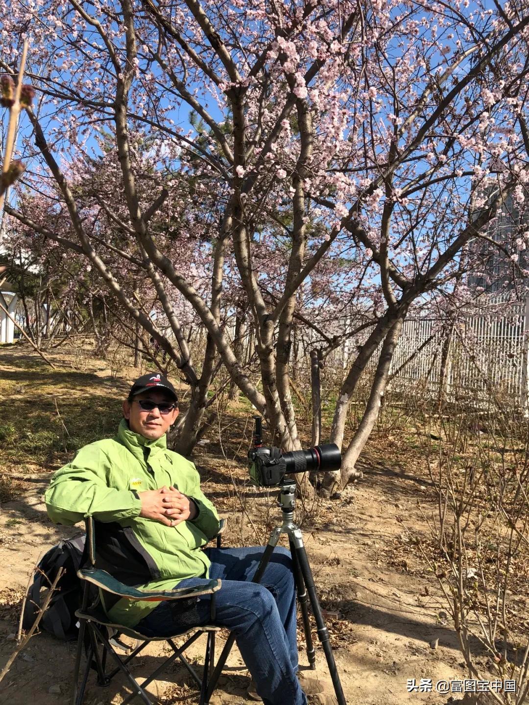 桃花怎么拍才好看,桃花怎么拍摄才能出新意