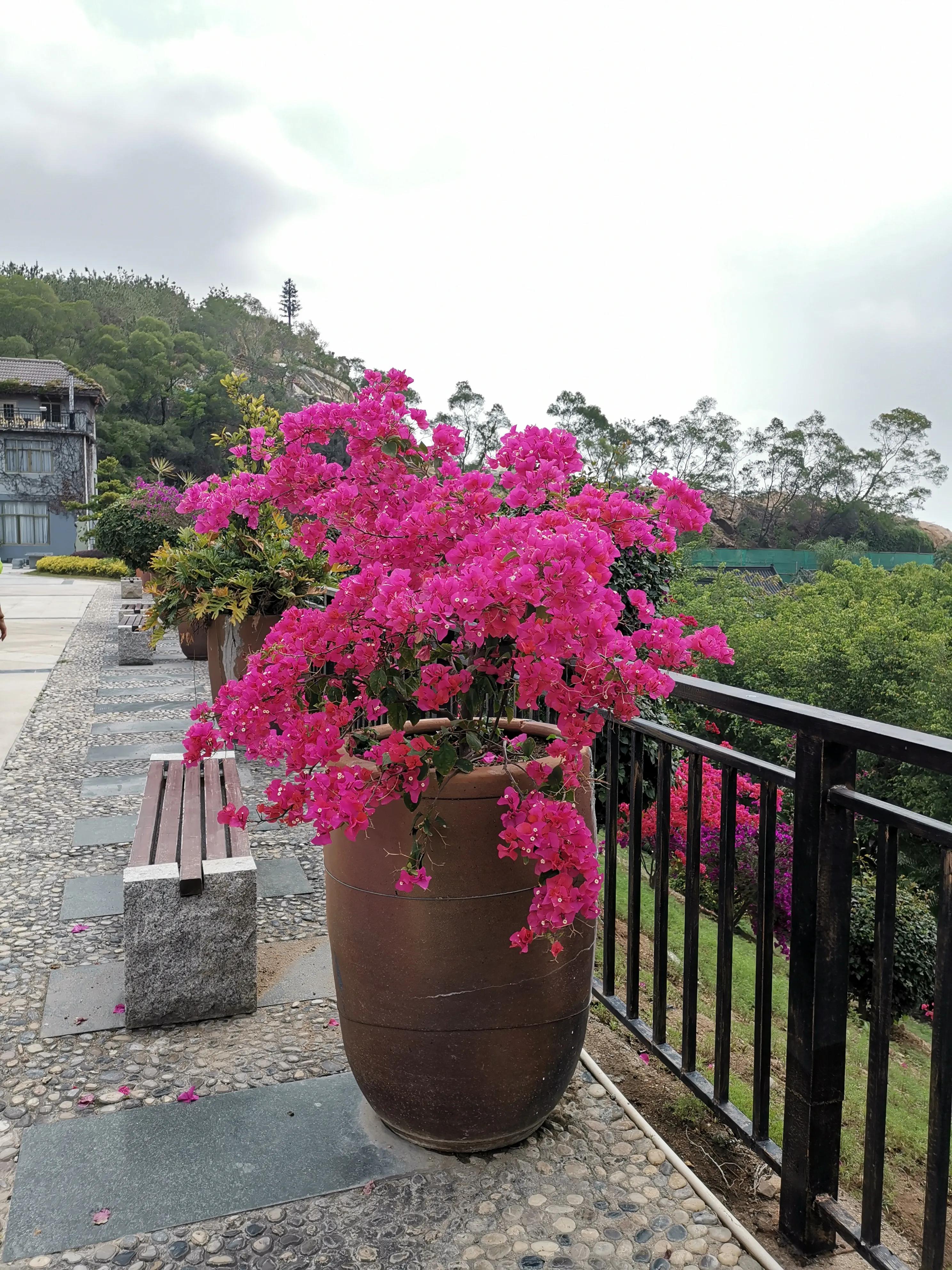 濮戝珎鏃呰璁板綍,濮戝珎鏃呰鏃ヨ