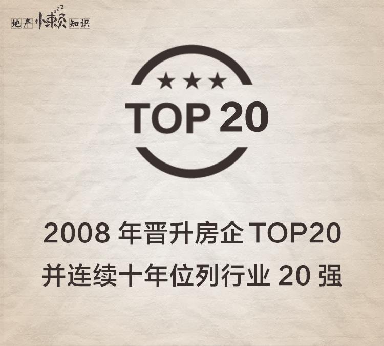 秒懂武汉楼市,中国十强房企新城