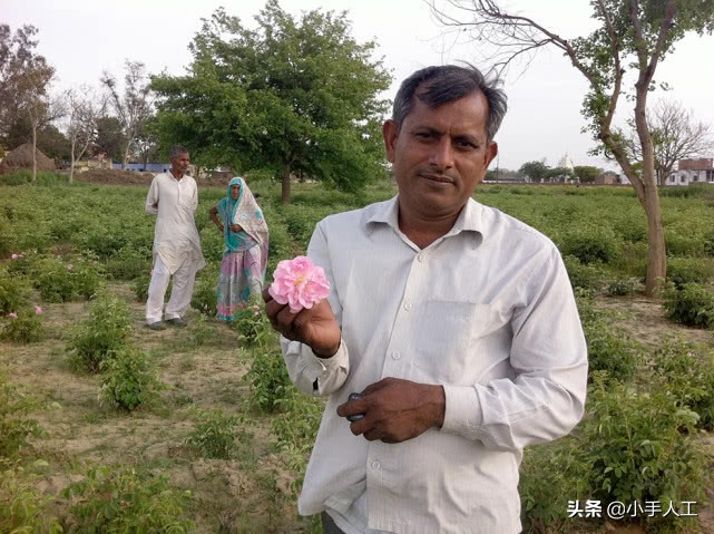 在印度芳香小镇寻访精油，都遇到了什么事