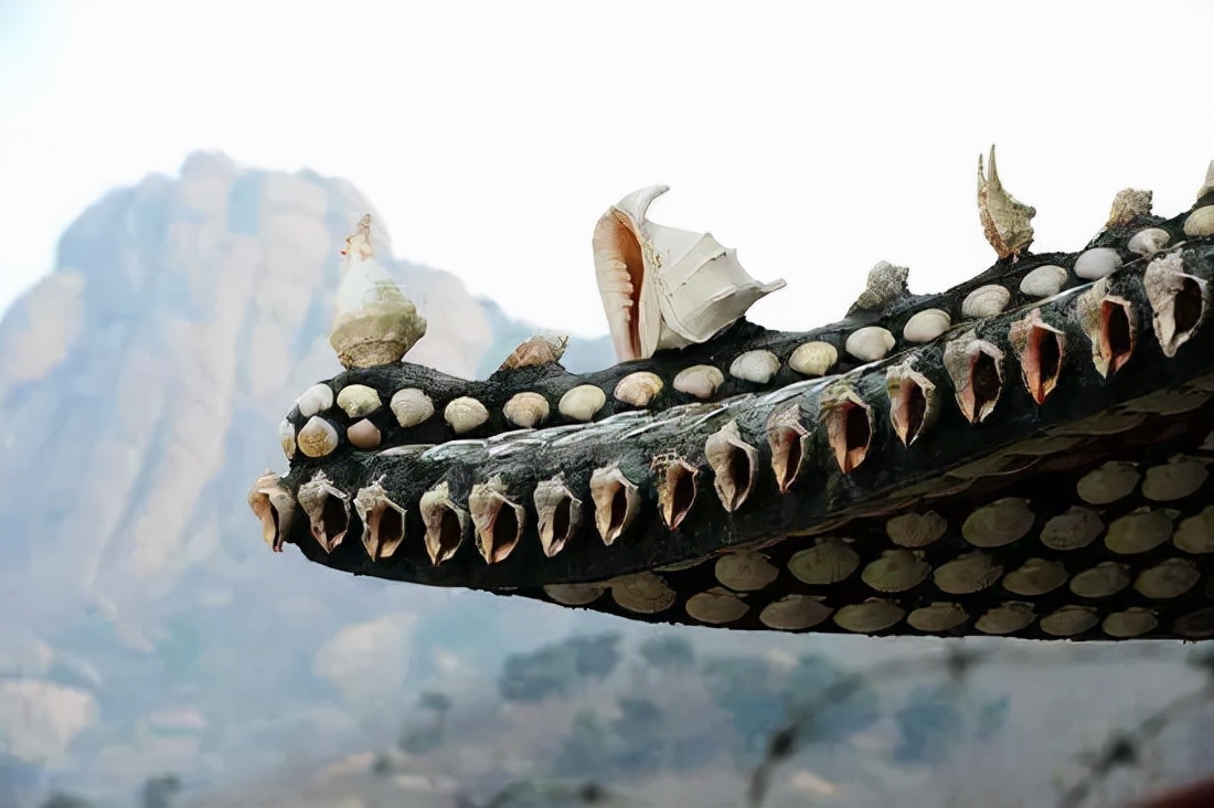 世界第一贝壳造房,中国第一贝壳楼