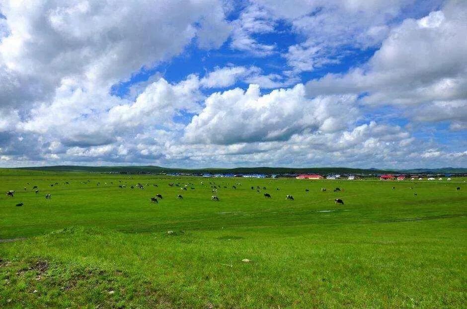 潍坊大草原4天旅游攻略,潍坊草原旅游自驾参团