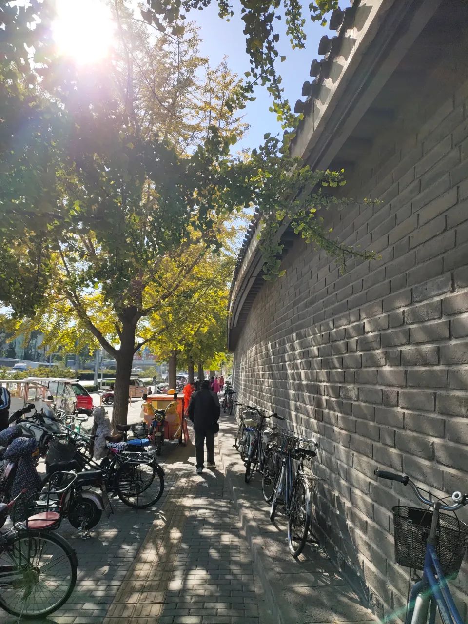 天坛公园周边,天坛旁边的公园