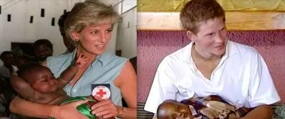 梅根和哈里的这种巨大反差,梅根哈里命运预测