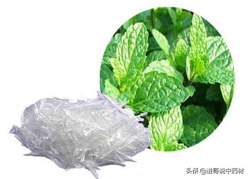 中药材市场价格行情网,国家药材市场中药材价格