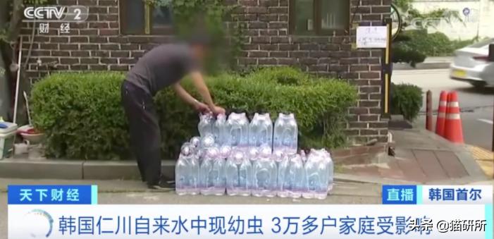 猫咪到底能不能喝矿泉水,猫咪喝自来水会结石吗