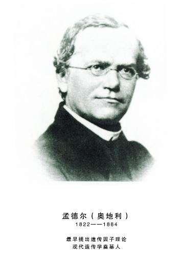 医学史上的伟大发明,人类基因测序科普讲解