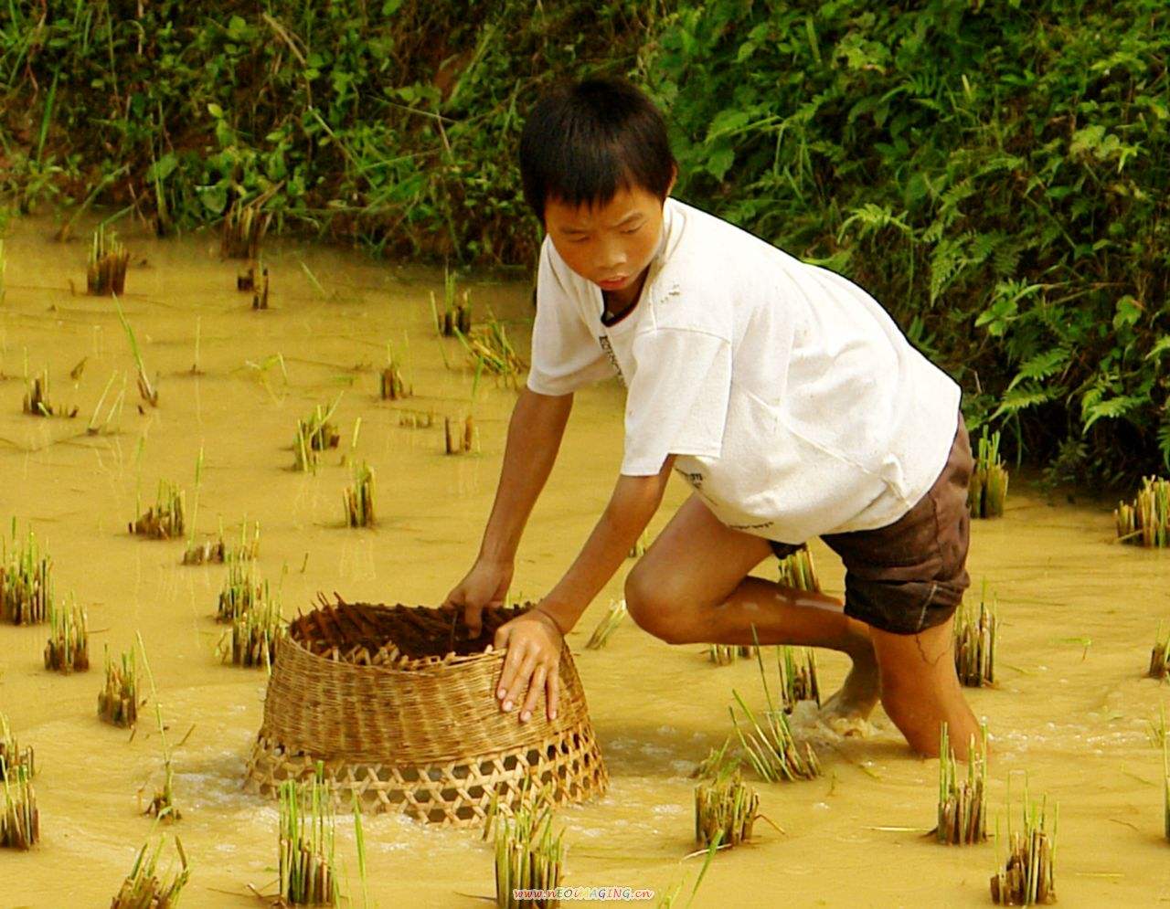 三年的初中生活尝尽酸甜苦辣,不同寻常的初中生活