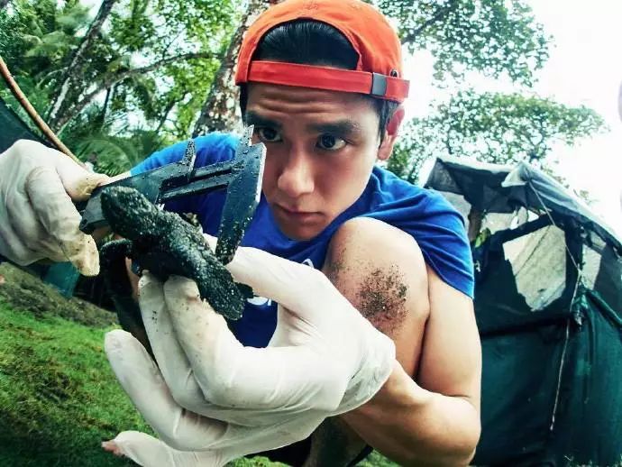 西尔莎罗南获金球奖,文娱有料