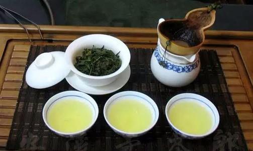 日铸雪芽茶有什么特点,兰花雪芽茶