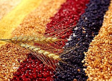 12岁孩子智力发育迟缓还能治好吗,13岁孩子智力发育迟缓需要怎么治