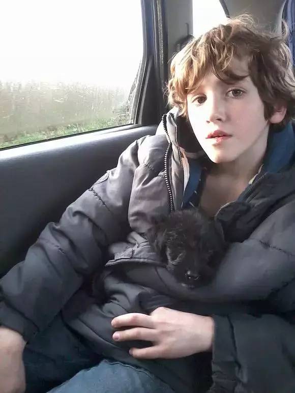 史塔克八年后的孩子,史塔克家几个孩子