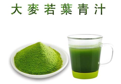 大麦青汁真假鉴别视频,正宗青汁的秘密