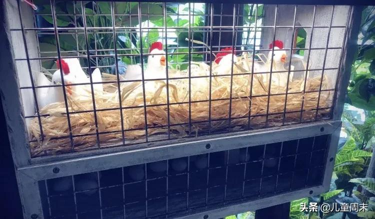 夏天不晒的亲子游乐园,雨天室内亲子乐园推荐