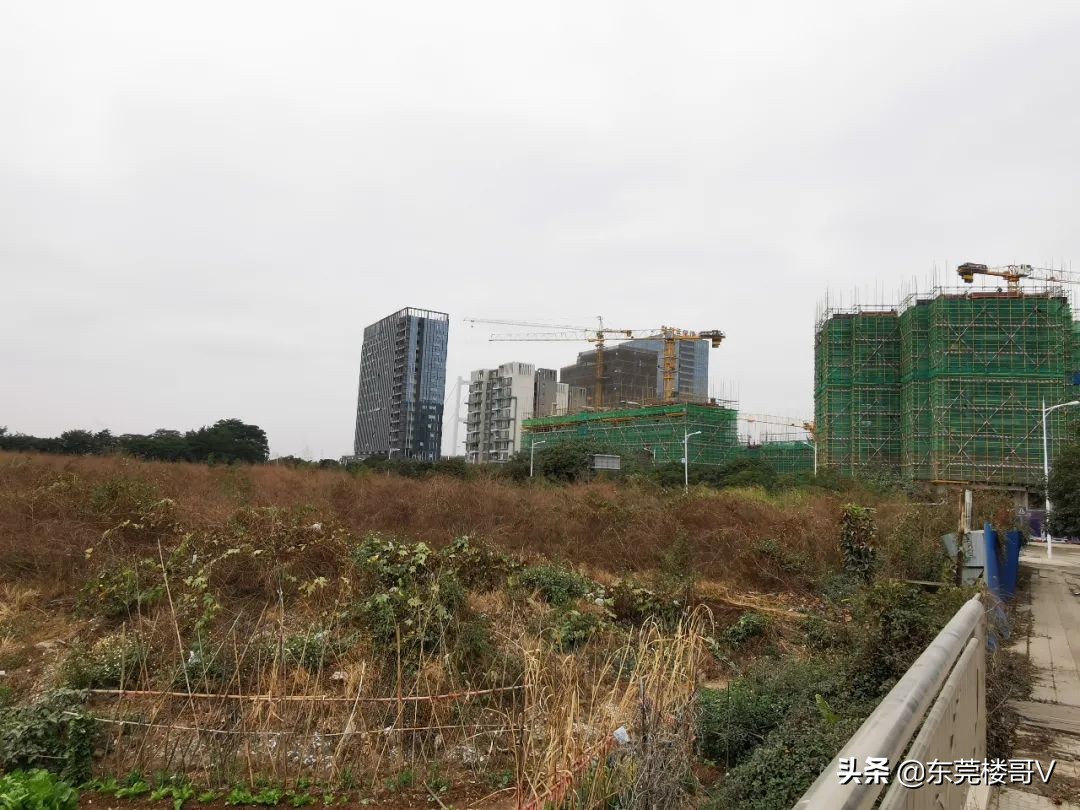 楼哥踩盘深业松湖云城,楼哥踩盘