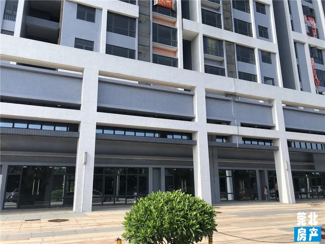 园洲东江府楼盘,惠州园洲东江府房价最新