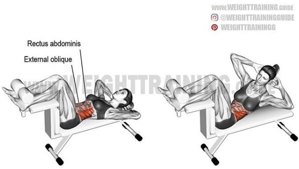 胸肩背臂腿腹训练动作,腰臀肌肉训练方法