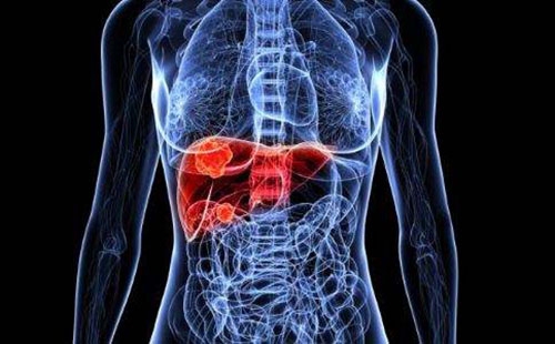 阿德福韦酯和丙酚替诺福韦哪个好,富马酸替诺福韦与丙酚诺福韦区别