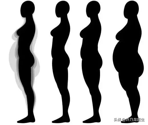 喝水也长肉什么原因,喝水就长肉的原因