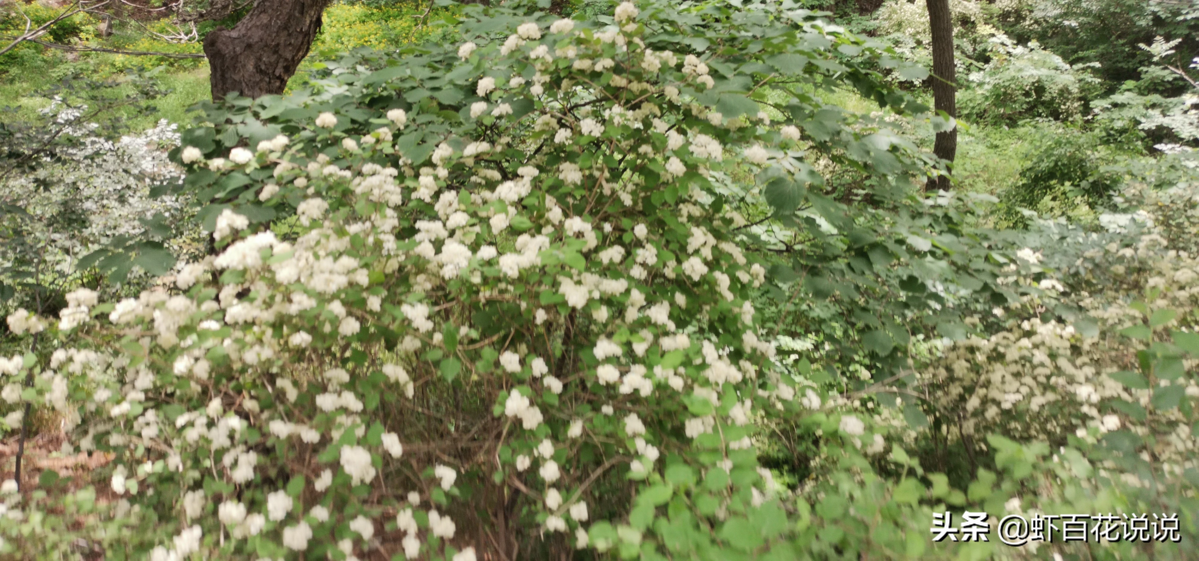 闾山国家森林公园游玩攻略,医巫闾山旅游景点攻略