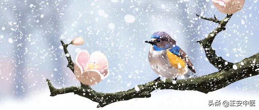 血虚闭经24味中药的药方,女性治疗闭经有哪些食疗方法