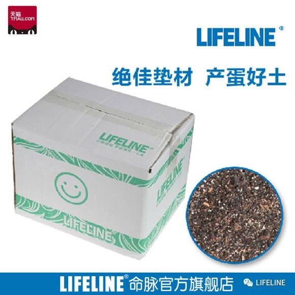 东部锦龟智商排名,红腹东部锦龟