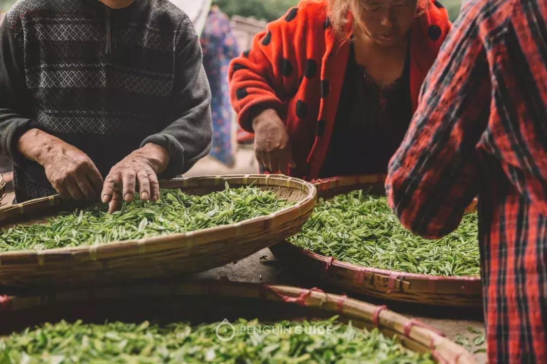 湖州：一座太湖南边的宝藏小城，春笋湖鲜河鱼，嘴巴好忙