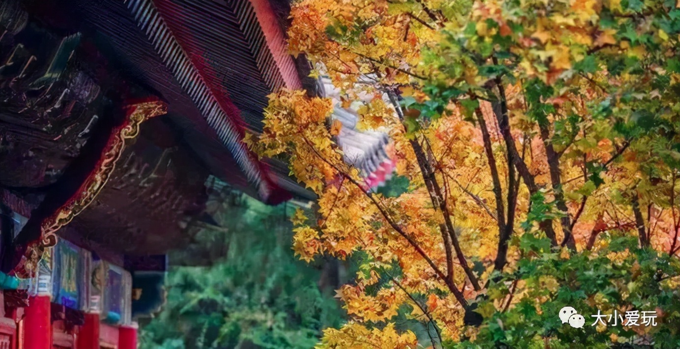 北京红螺寺银杏最佳观赏时间,北京赏银杏景区有哪些