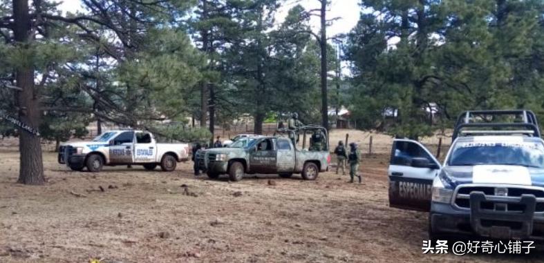 毒枭第四季的背后故事,美国毒枭加入墨西哥贩毒集团美剧