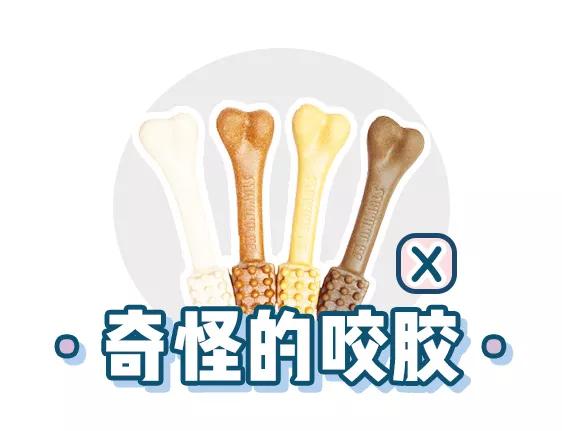 萌新应该养什么便宜宠物狗,萌新怎么入门宠物技能