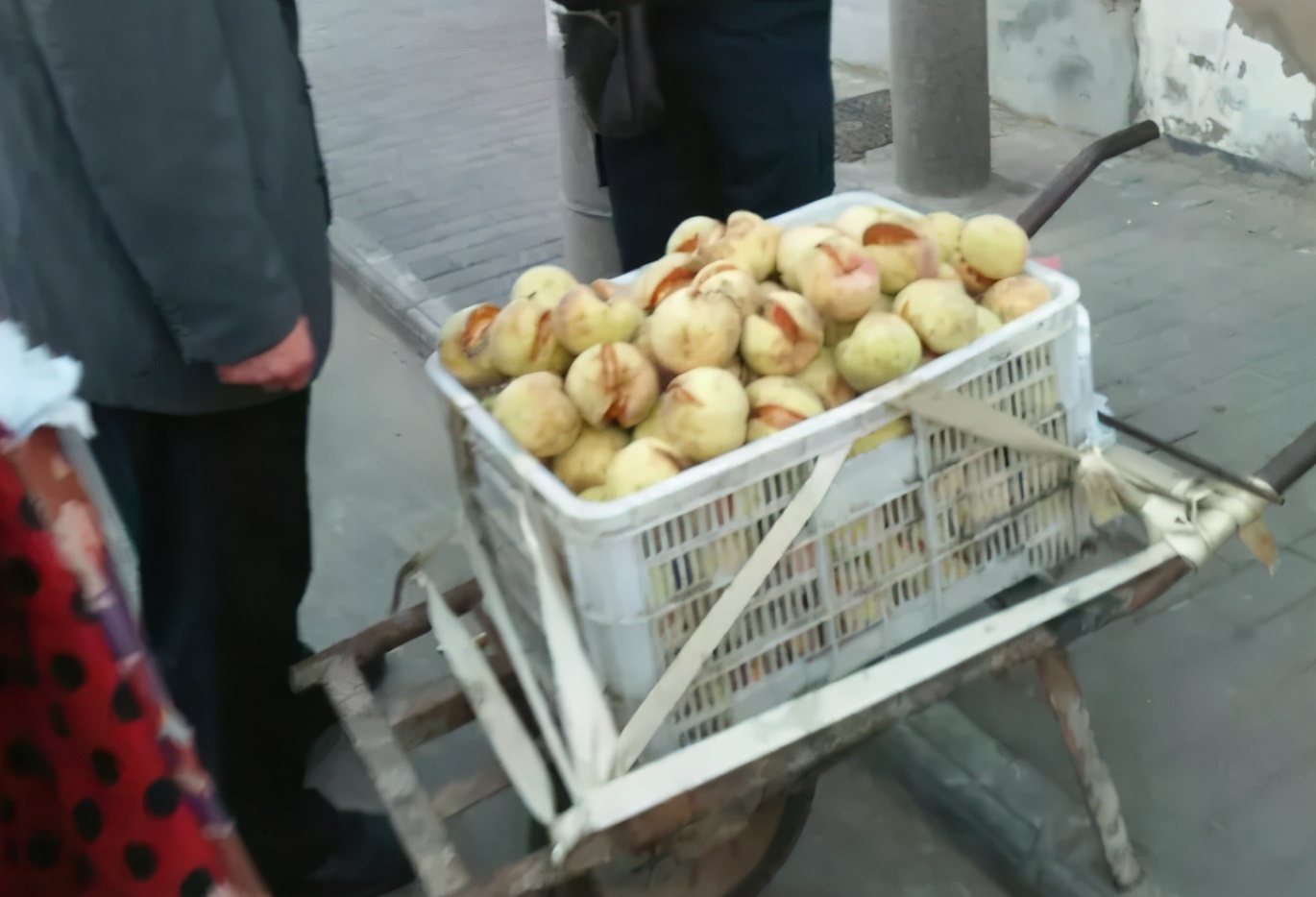 正宗又甜又脆的丑桃,即将灭绝的老品种桃子