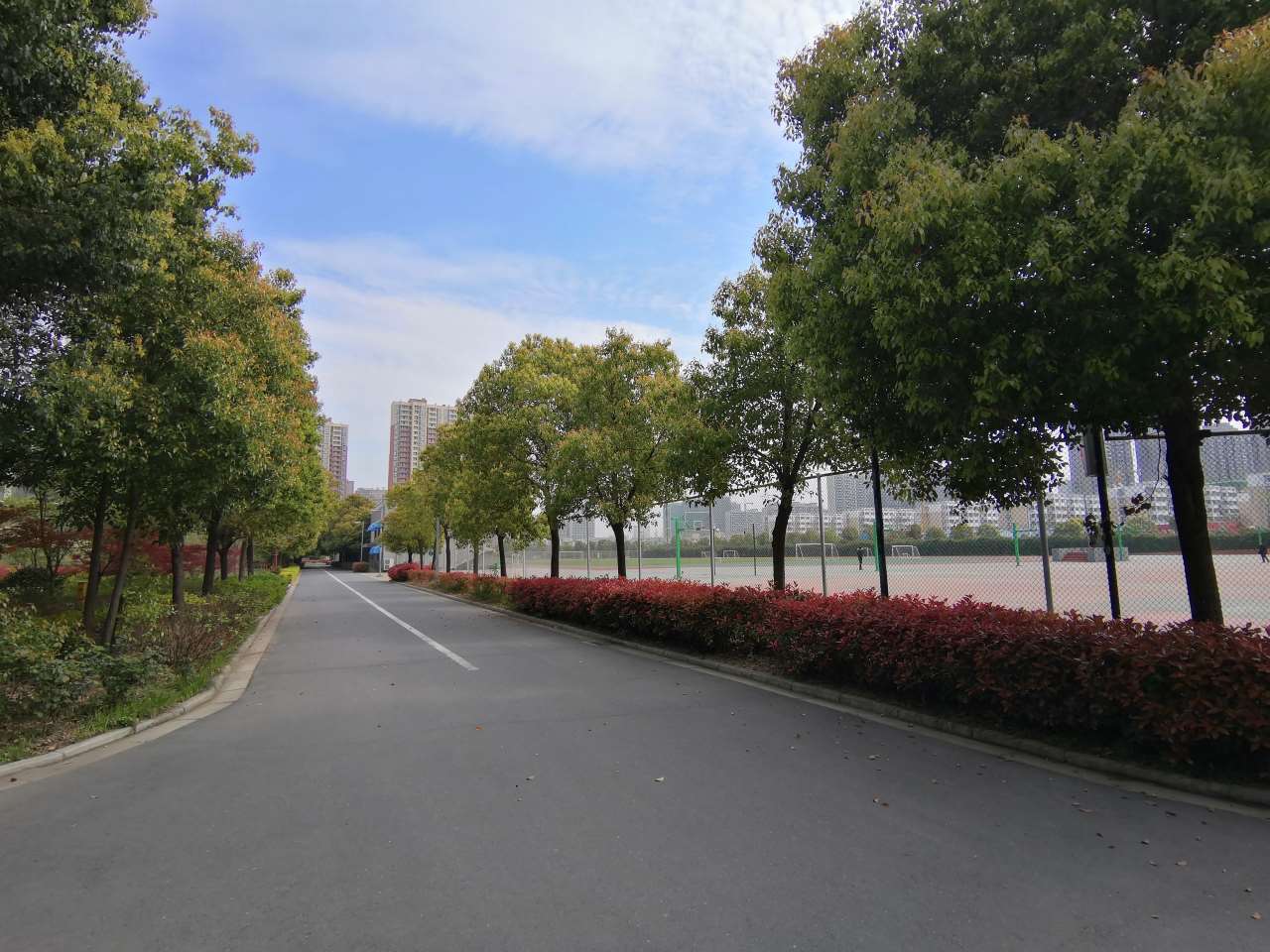 安徽阜阳市有啥中学,阜阳市省重点高中有哪些