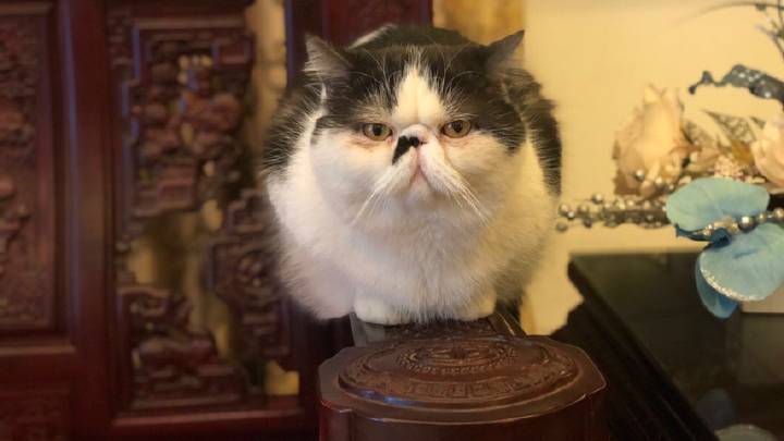 大健康投资故事,大健康领域的投资