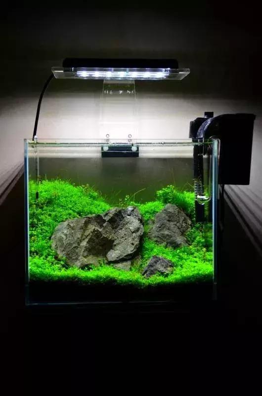 如何打造景观小缸,院子简易水景流水缸制作方法图片