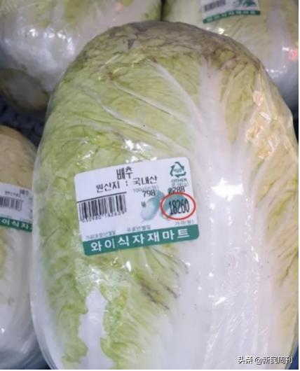 韩国一棵白菜平时价格,韩国一颗白菜一百多人民币