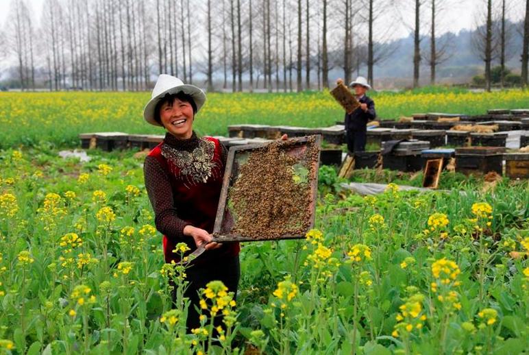 罗隐最经典的5首诗,罗隐十首经典诗词