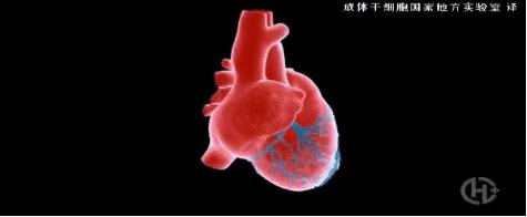 术后第一天心肌损伤标志物三项高,心肌损伤标志物三项多久恢复正常