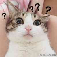 维密超模瘦腰法,维密丰胸细腰翘臀训练